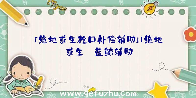 「绝地求生枪口补偿辅助」|绝地求生